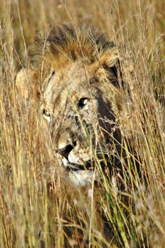 20060421-20060426_south_african_0798