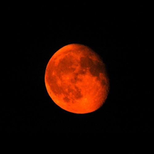 20060714_lune_0021