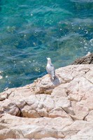 20080626_marseille_0105