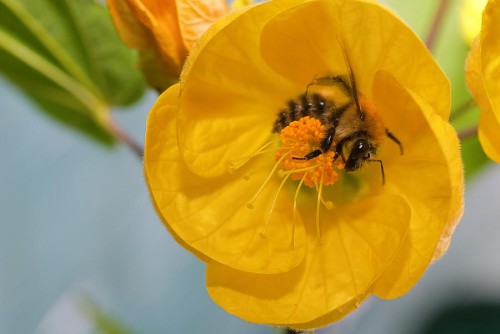 20080704_macro_0018