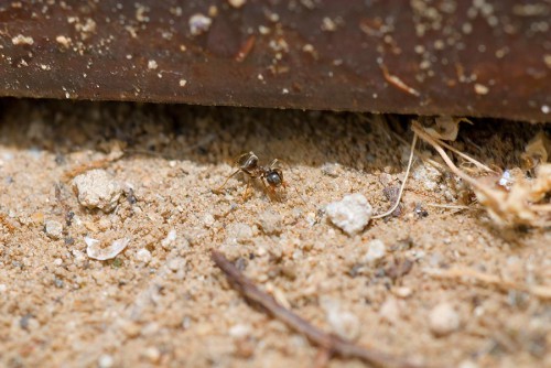 20080706_macro_0012