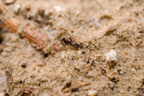 20080706_macro_0013