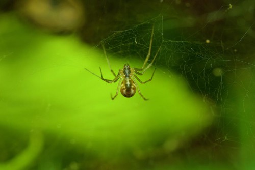 20080706_macro_0019
