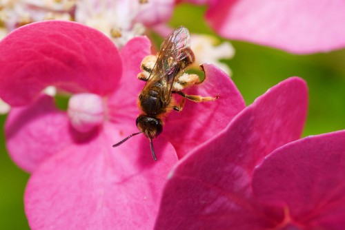 20080706_macro_0029