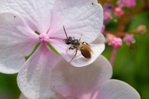 20080706_macro_0050