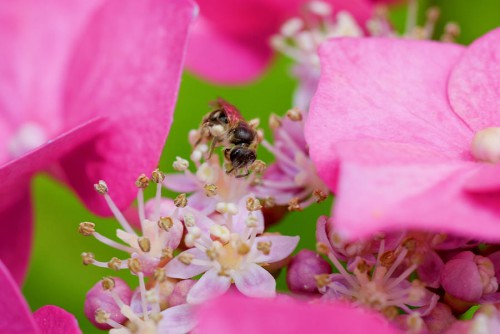 20080706_macro_0061