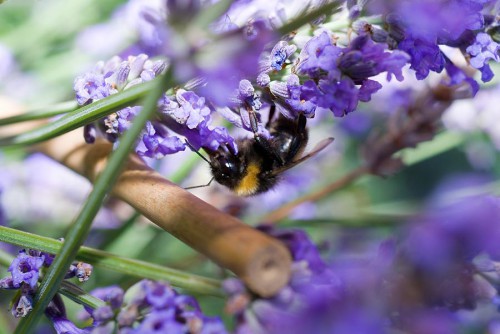 20080710_macro_0001