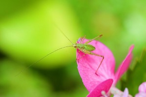 20080710_macro_0019