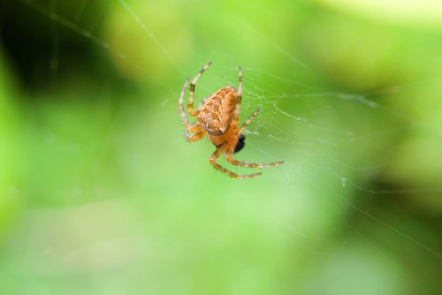 20080711_macro_0001