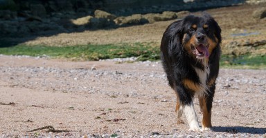 20090522-plage-0021
