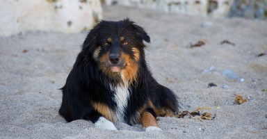 20090522-plage-0060