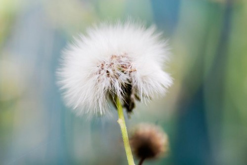 20080704_macro_0008