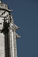 DSC_6480 DSC_6480
