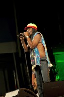 DSC_6713 DSC_6713
